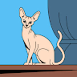 Meet your Posher, Carmen